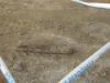 Robbanótestet találtak Szőnyben (75 mm pzgr 39/42, Kwk 42)